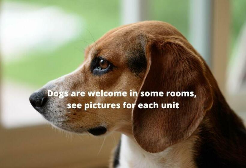 Brukshotellet öland   Vandrarhem