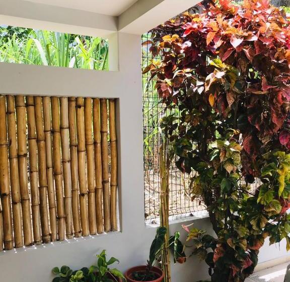 پانسیون Residencial Lela D Fermina