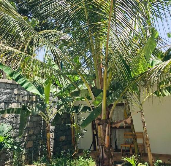 پانسیون Residencial Lela D Fermina