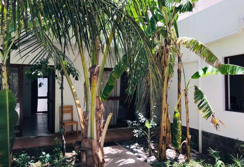 پانسیون Residencial Lela D Fermina