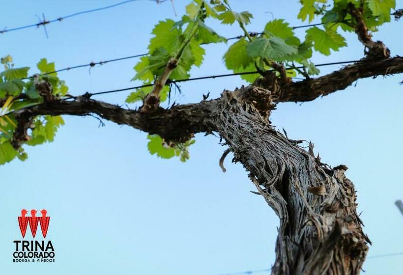 Hostel Bodega Trina Suites