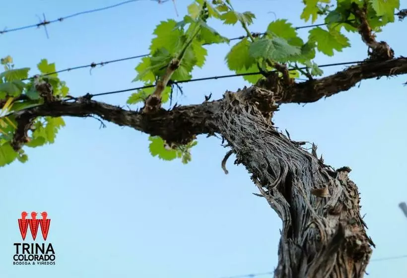 Retkeilymaja Bodega Trina Suites