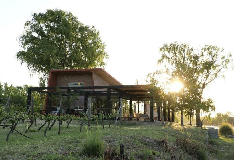 Hostel Bodega Trina Suites