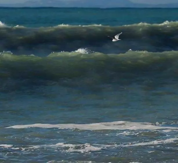 هتل Wave ტალღა