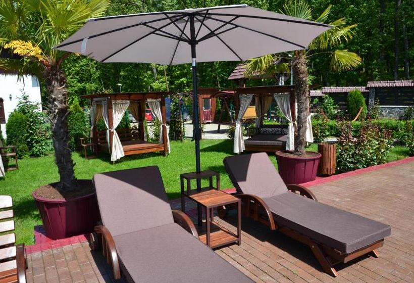 هتل Pensiunea Popasul Codrenilor