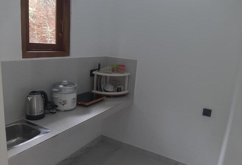 بنسيون Dream Residence