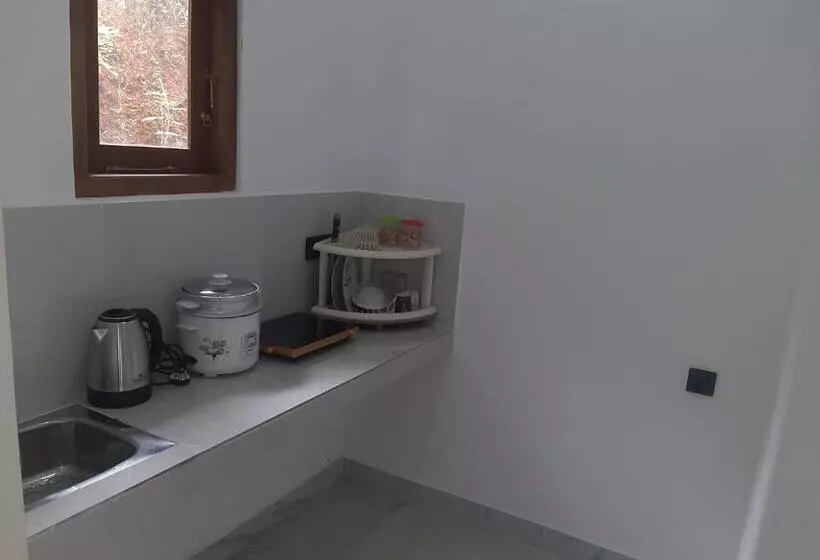 ペンション Dream Residence