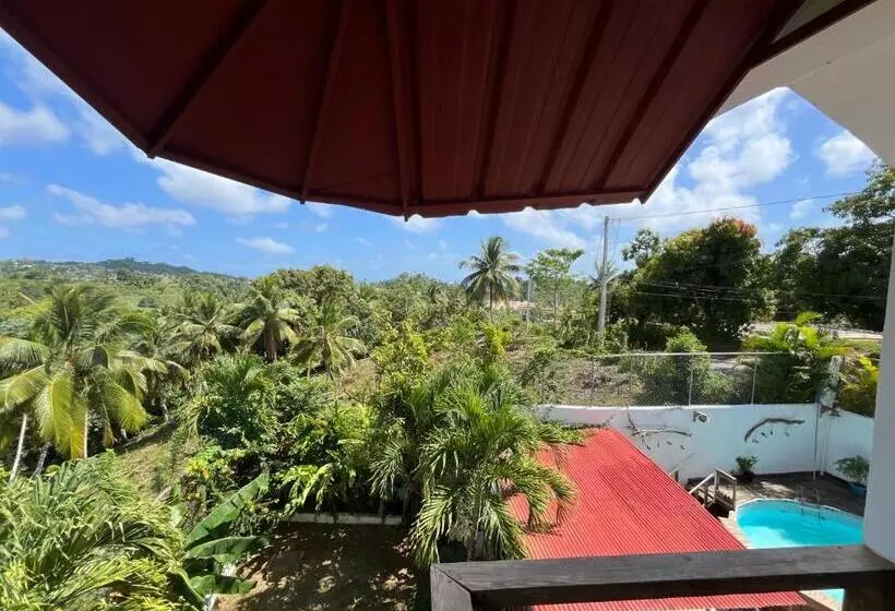 Tinyhouse Samaná