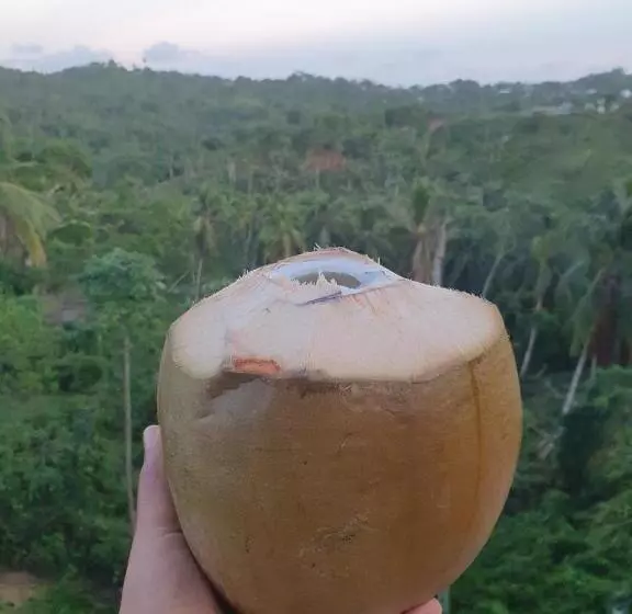 Tinyhouse Samaná