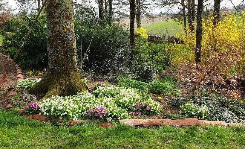 ベッドアンドブレックファースト Chambre D Hote 40 M2 Très Agréable