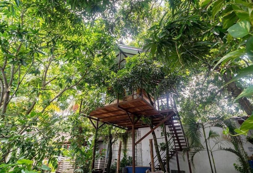 هتل La Casona De Sara