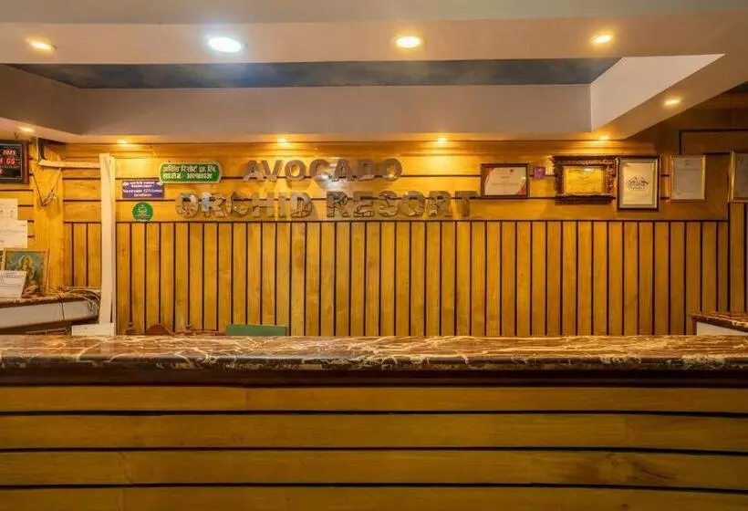 هتل Avocado Orchid Resort