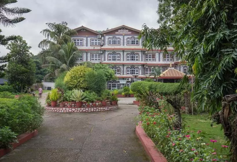 هتل Avocado Orchid Resort