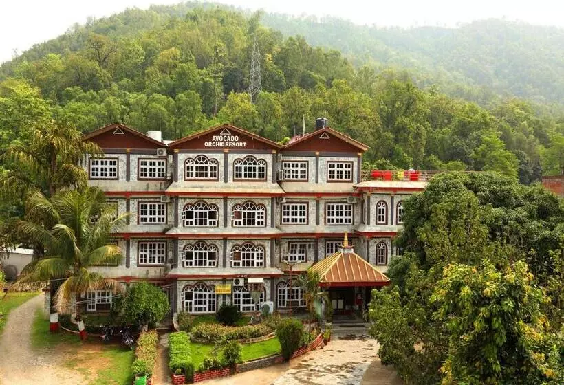 هتل Avocado Orchid Resort
