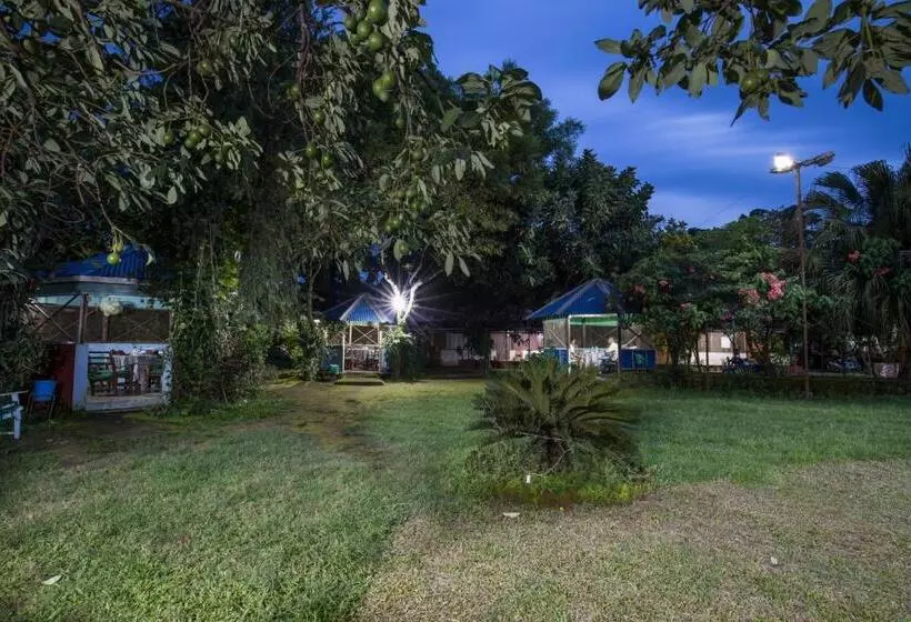 هتل Avocado Orchid Resort