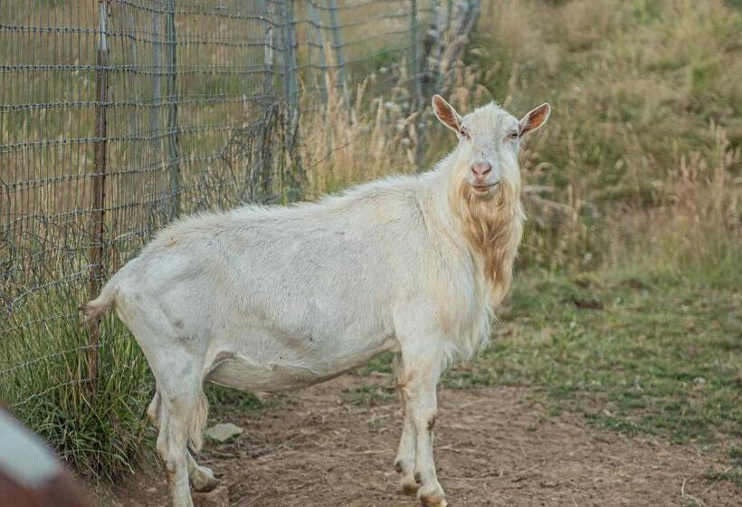 酒店 Healing Ponds Farm