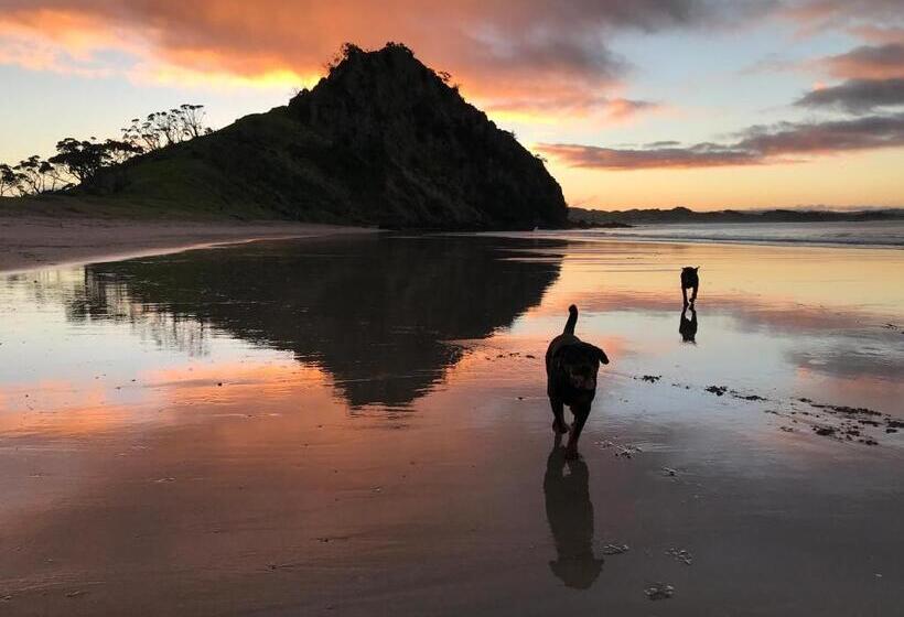 ペンション Mount And Surf View Cabin