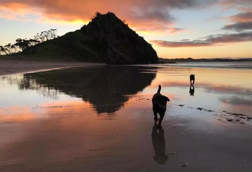 Majatalo Mount And Surf View Cabin