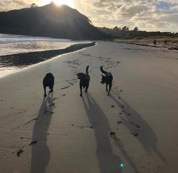 ペンション Mount And Surf View Cabin