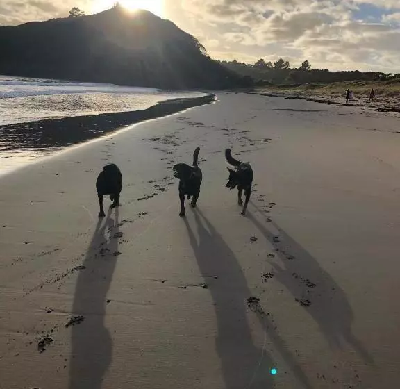 Majatalo Mount And Surf View Cabin