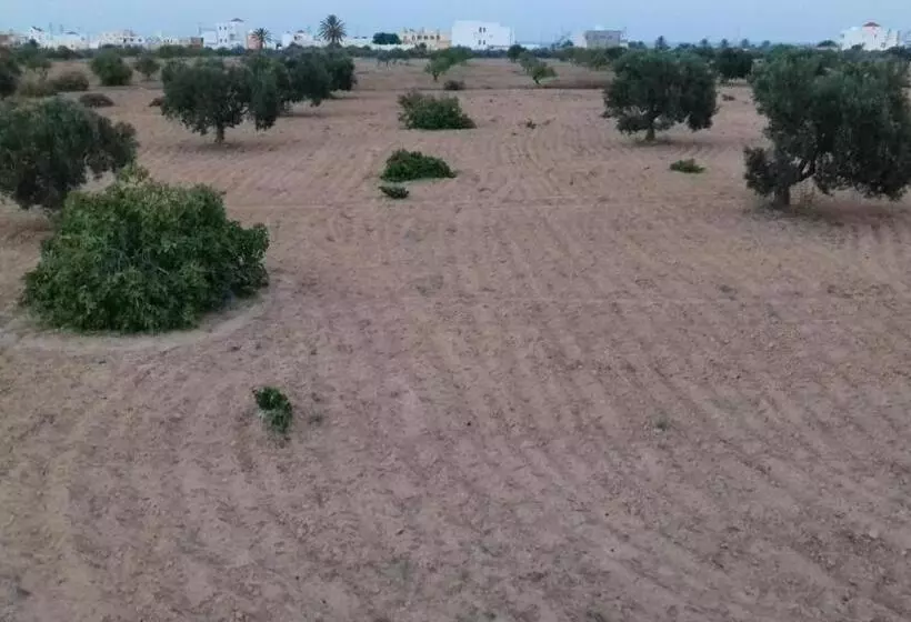 Aamiaismajoitus (B&B) Dar Mamina