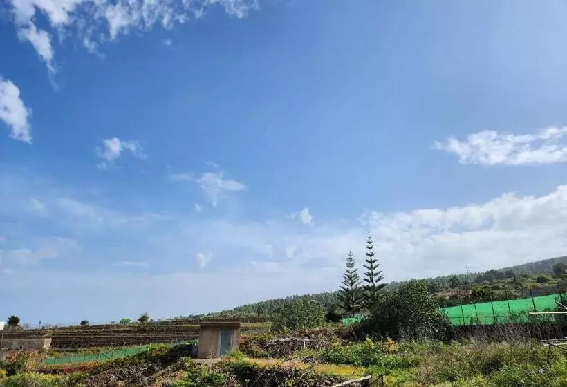 Casa Salvia Bed & Breakfast   Icod   Tenerife