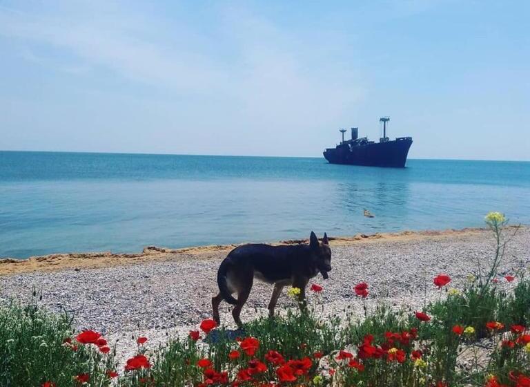 پانسیون Casa Georgian