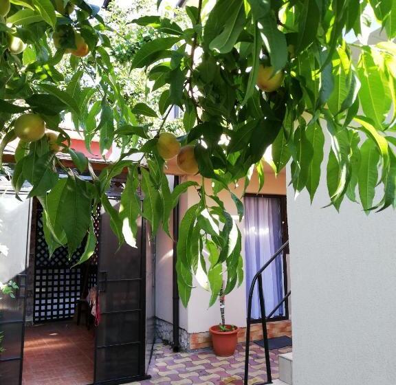 پانسیون Casa Georgian