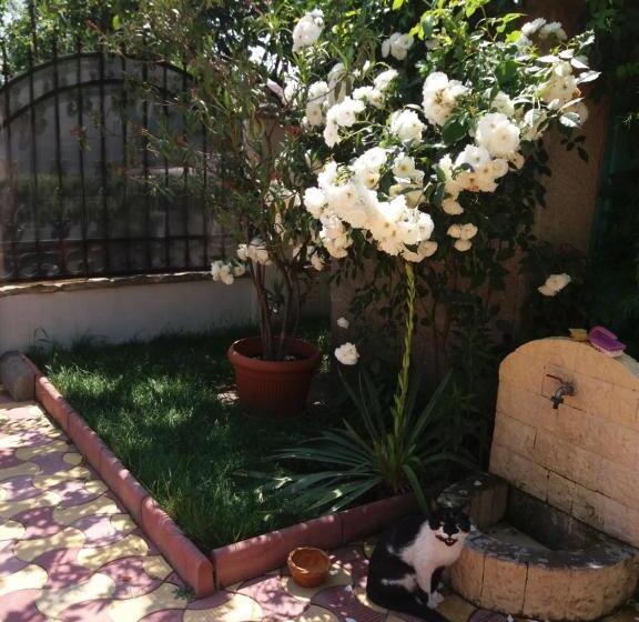 پانسیون Casa Georgian