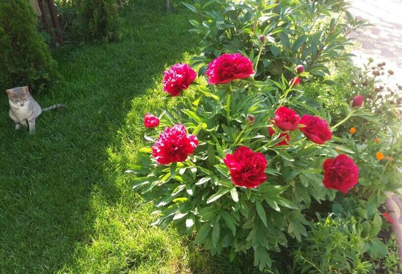 پانسیون Casa Georgian