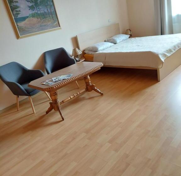 پانسیون Pas Birutę