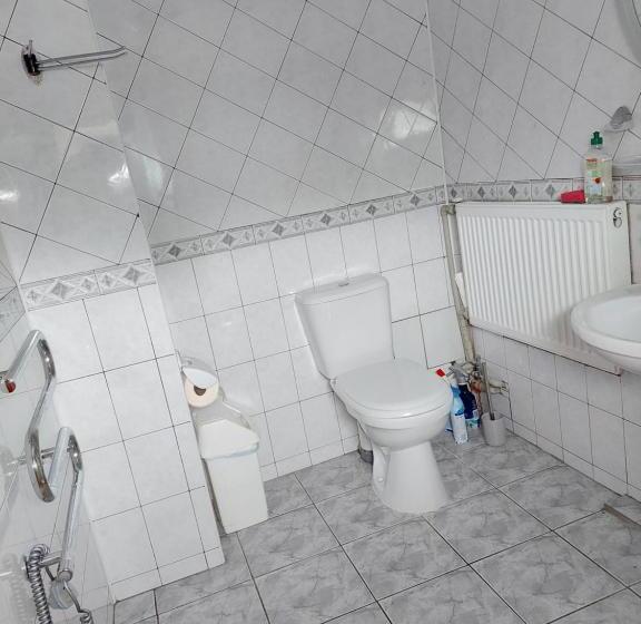 پانسیون Pas Birutę