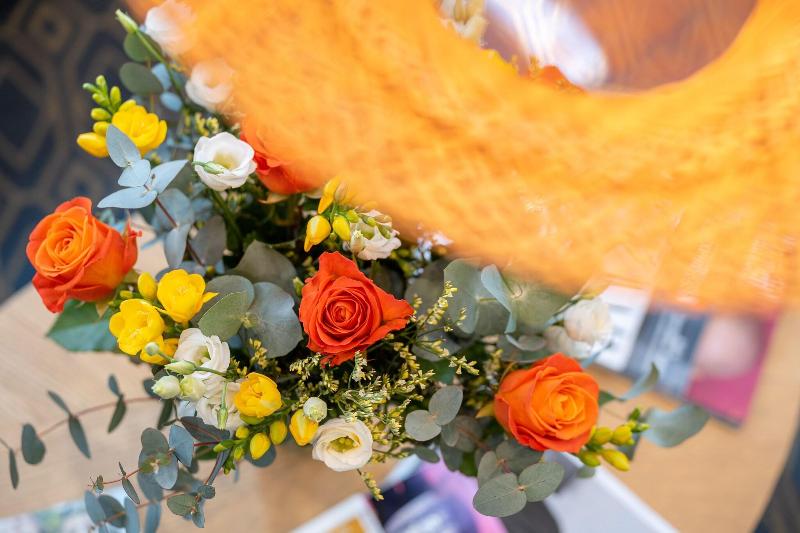 בית מלון כפרי De Paris