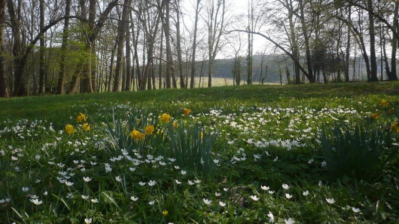 בית מלון כפרי Domaine De Chatenay Le Mans