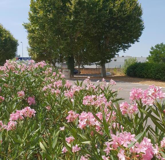 هتل Brit Du Moulin De La Pioline La Table A Fromages