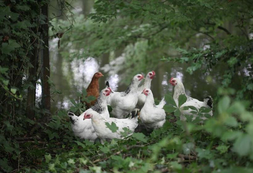 فندق Le Château De Beaulieu