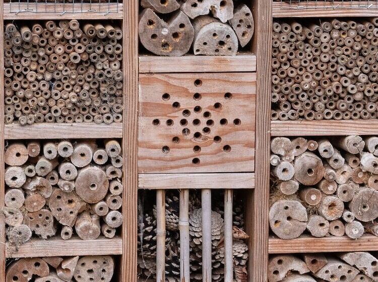 فندق Le Château De Beaulieu