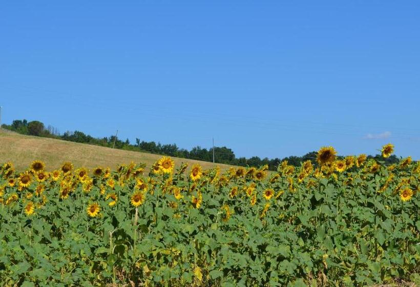 فندق Podere Dell'anselmo