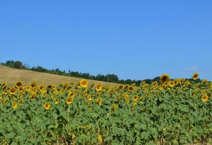 Hotelli Podere Dell'anselmo