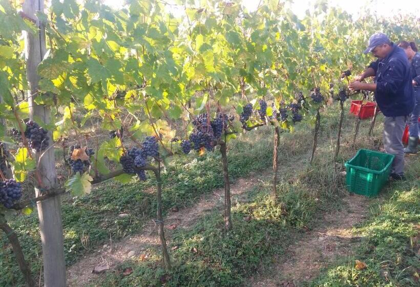 فندق Podere Dell'anselmo