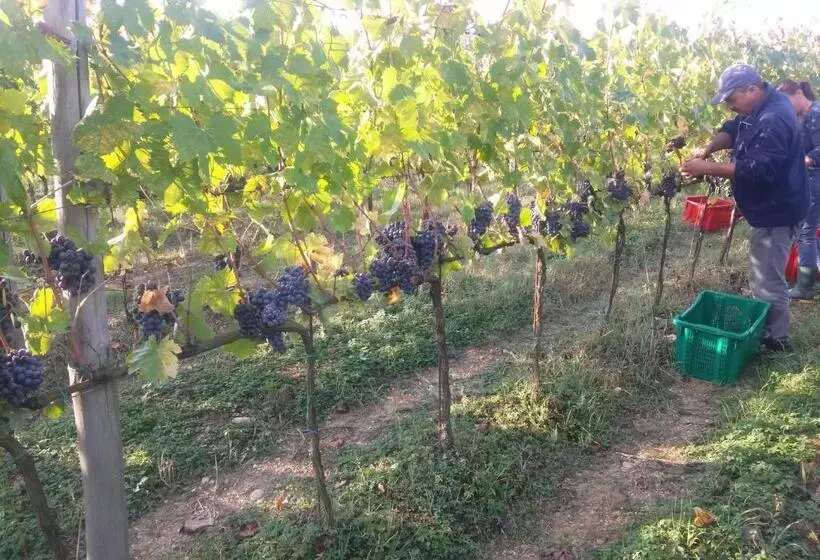 Hotelli Podere Dell'anselmo