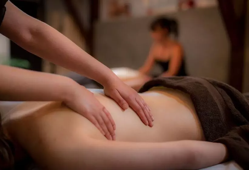 ホテル Resid Spa Loire & Sevre