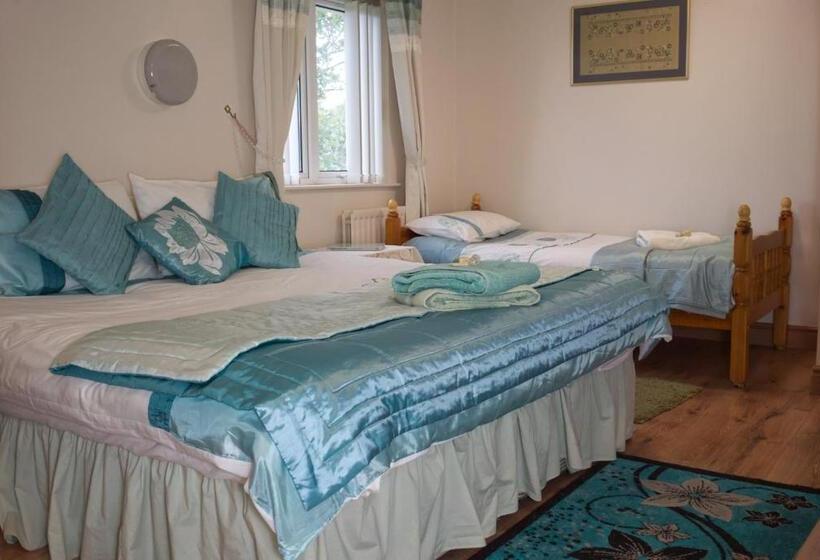 ホテル The Mourne Lodge Cnocnafeola