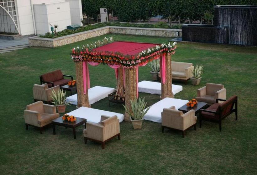 Treehouse Hotel Club & Spa