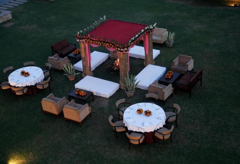 Treehouse Hotel Club & Spa