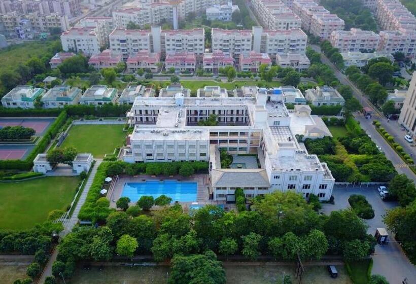 Treehouse Hotel Club & Spa