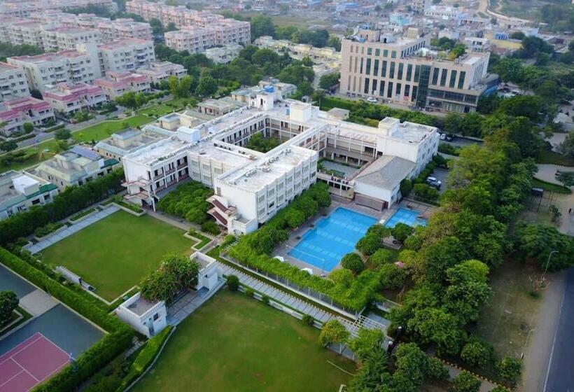 Treehouse Hotel Club & Spa