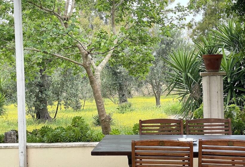 Отель B&b Santa Venardia