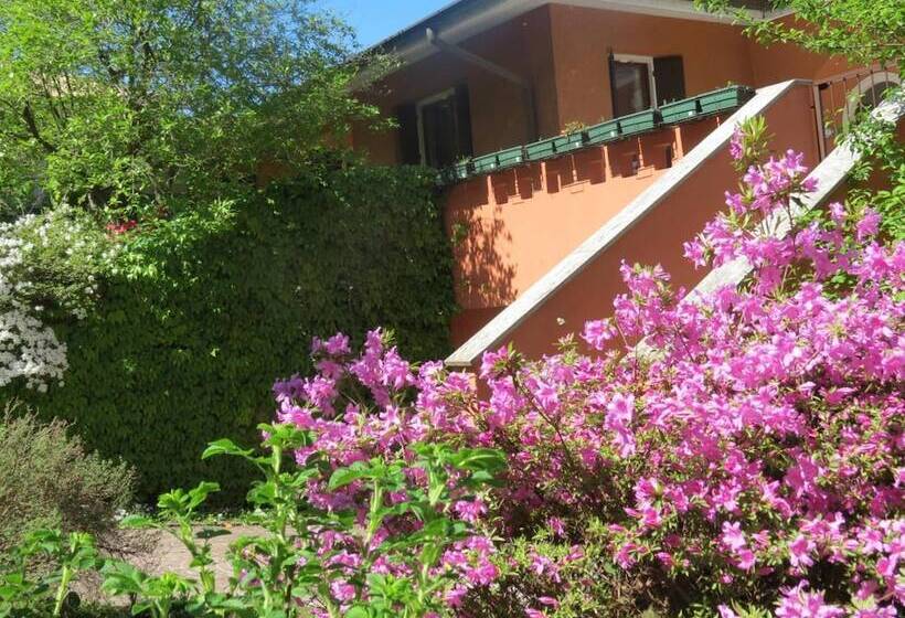 ホテル B&b Tana Della Volpe