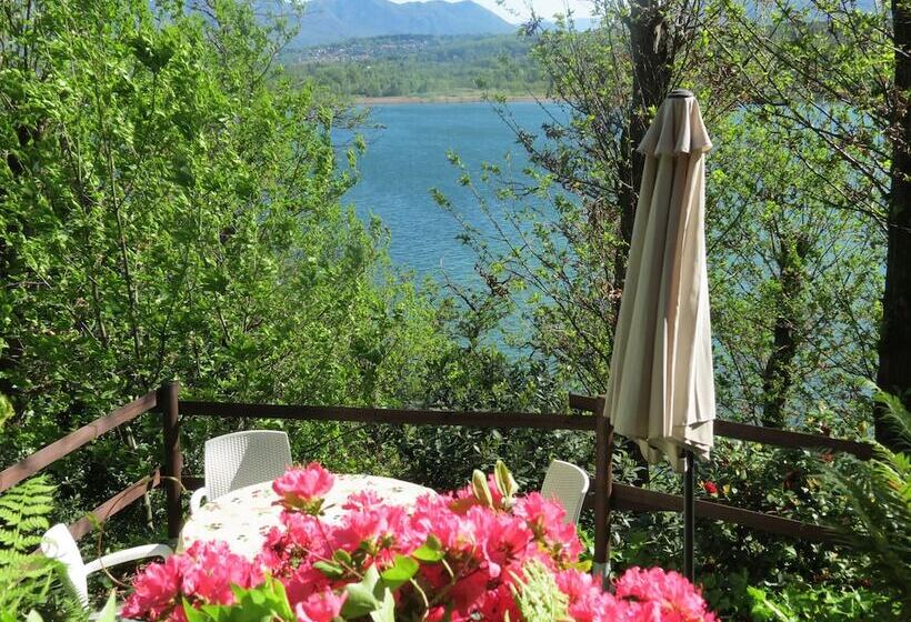 ホテル B&b Tana Della Volpe